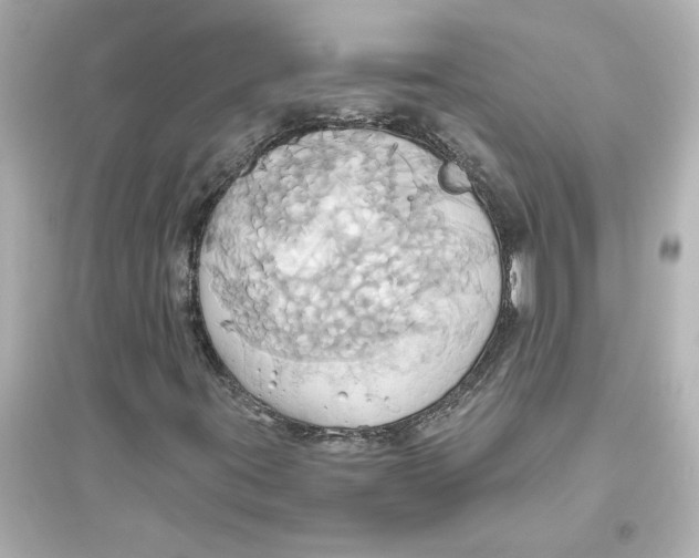 X0000093611395200711121201