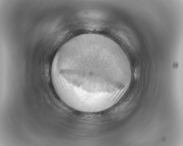 X0000093611396200711121201