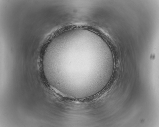 X0000093611398200711121201