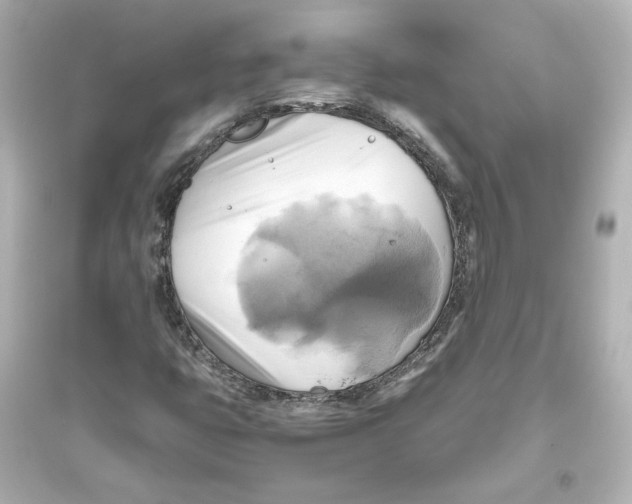 X0000093611399200711121201