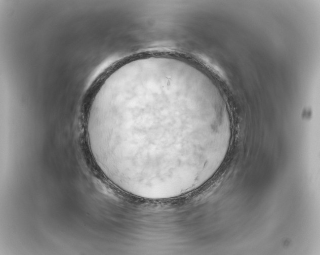 X0000093611400200711121201