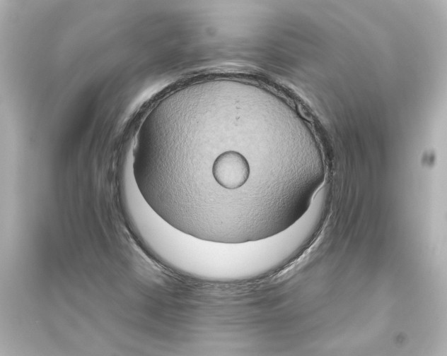 X0000093611402200711121201