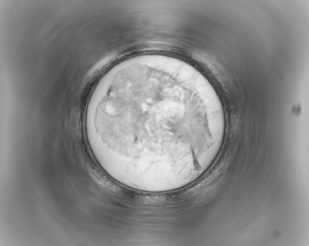 X0000093611403200711121201
