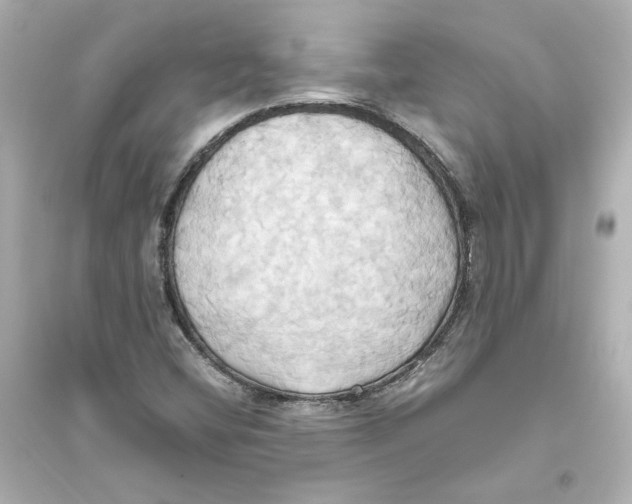 X0000093611404200711121201