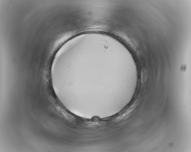 X0000093611405200711121201