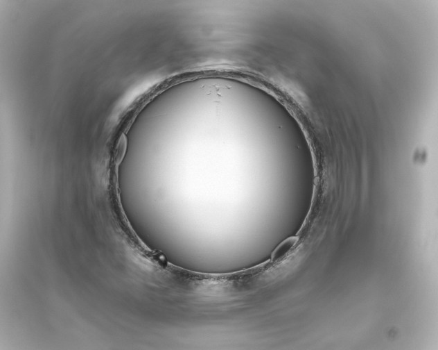 X0000093611406200711121201