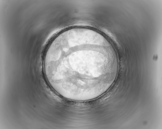 X0000093611408200711121201