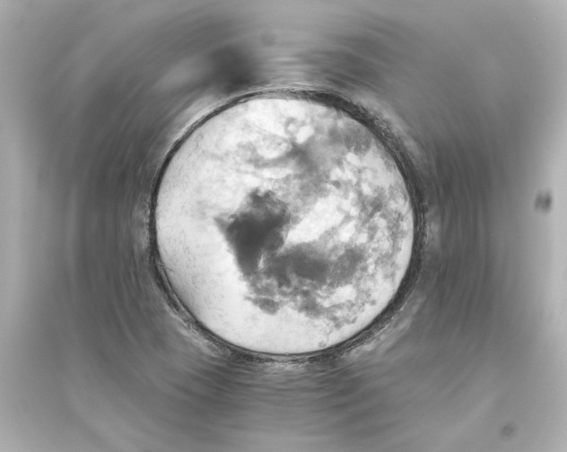 X0000093611409200711121201
