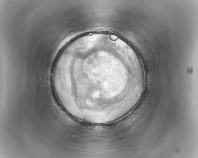 X0000093611412200711121201