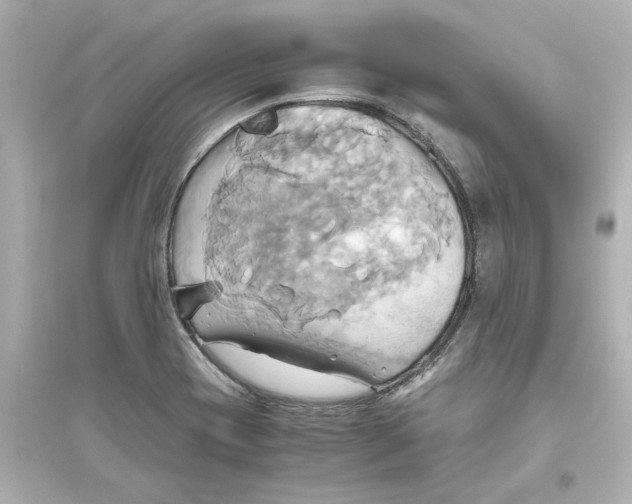X0000093611417200711121201