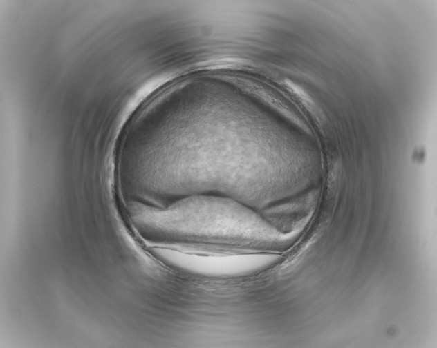 X0000093611418200711121201
