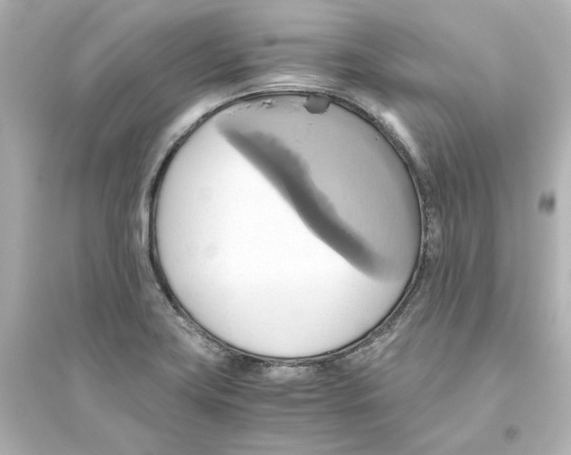 X0000093611419200711121201