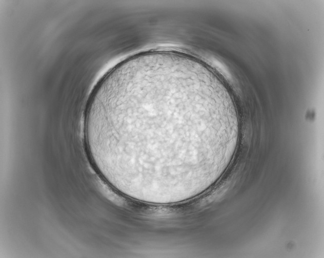 X0000093611420200711121201
