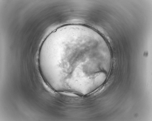 X0000093611421200711121201