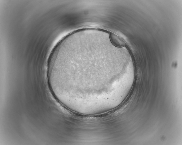 X0000093611424200711121201