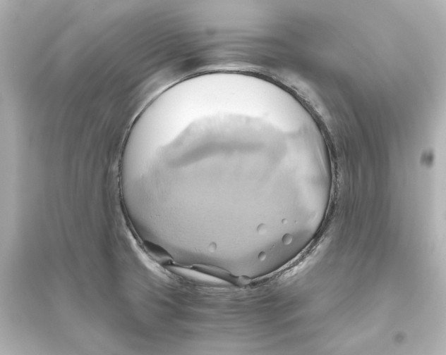 X0000093611425200711121201