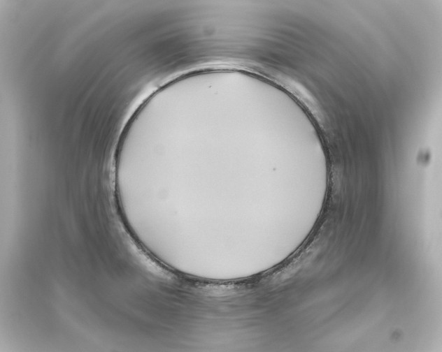 X0000093611428200711121202