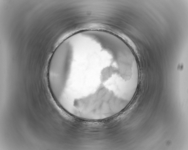 X0000093611429200711121202