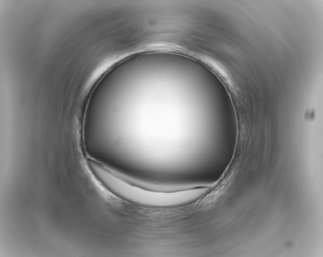 X0000093611430200711121202