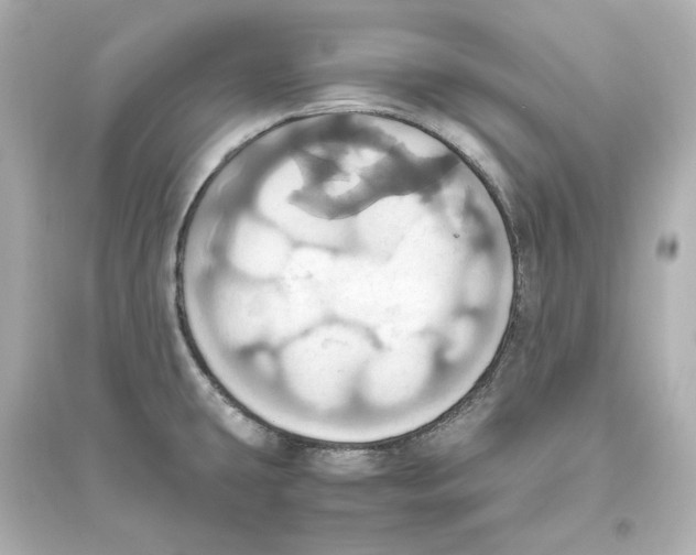 X0000093611431200711121202