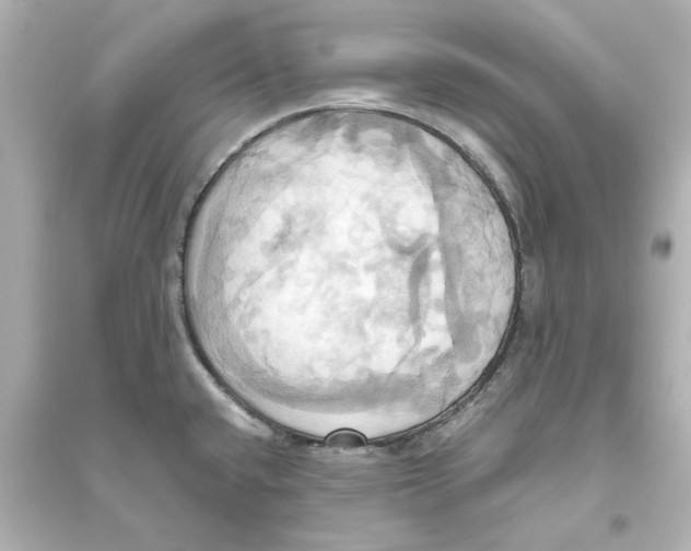 X0000093611432200711121202