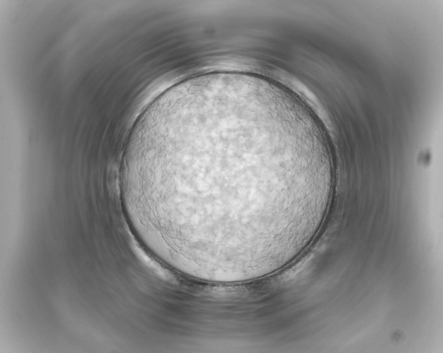 X0000093611433200711121202
