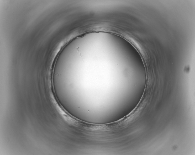 X0000093611434200711121202