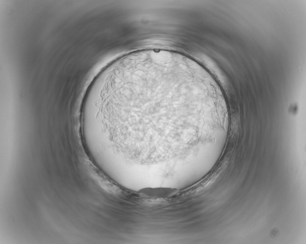 X0000093611435200711121202