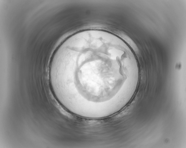 X0000093611436200711121202
