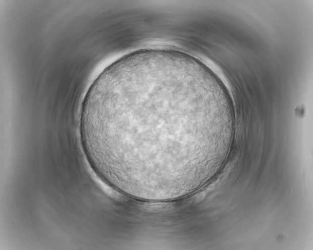 X0000093611437200711121202