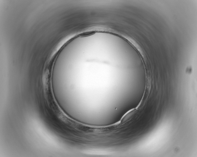 X0000093611438200711121202