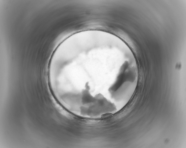X0000093611439200711121202