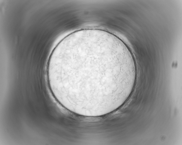 X0000093611440200711121202
