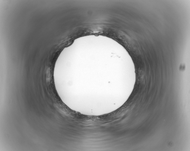 X0000093611442200711121201