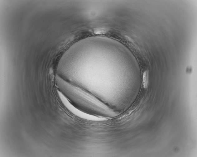 X0000093611443200711121201