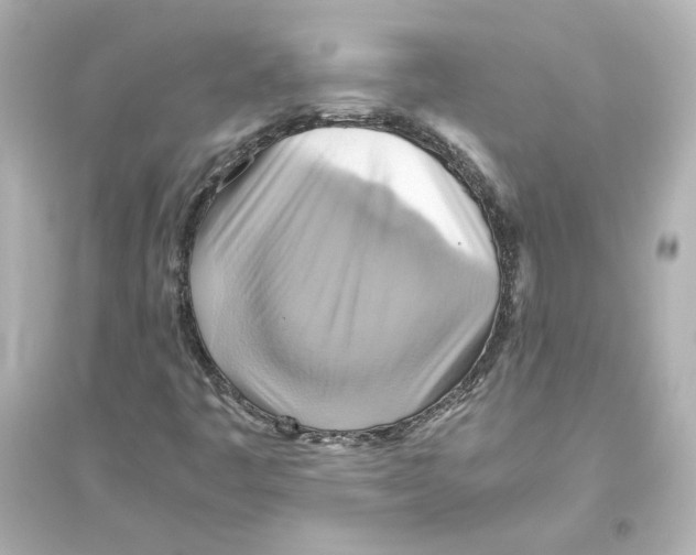 X0000093611445200711121201