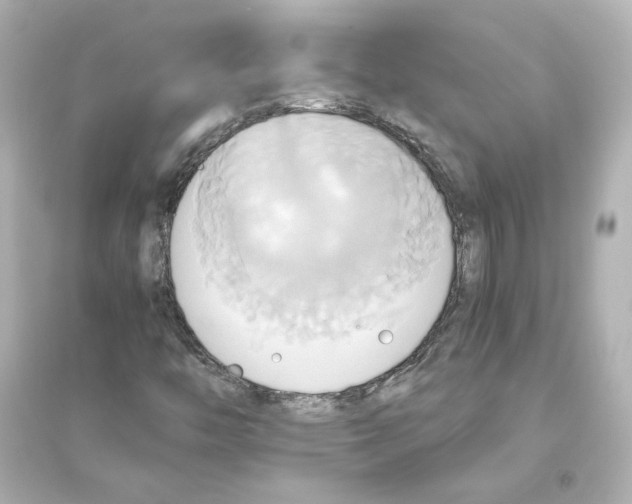X0000093611446200711121201