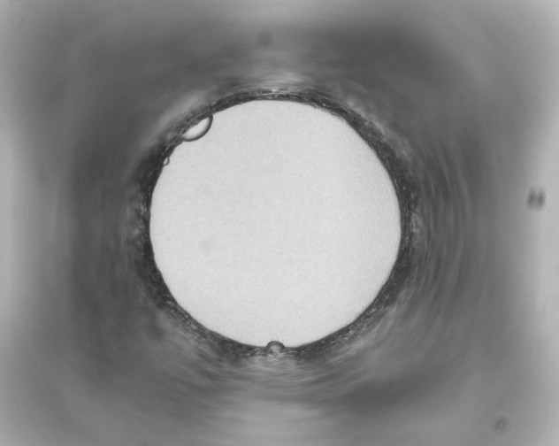 X0000093611447200711121201