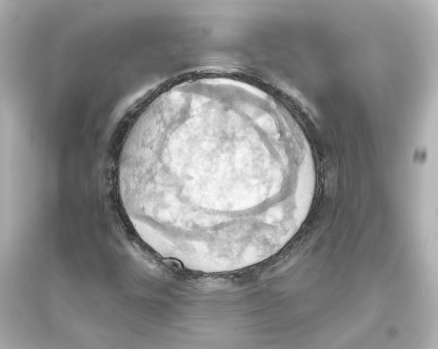X0000093611448200711121201