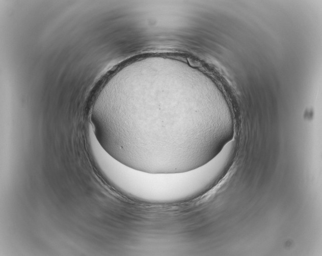 X0000093611449200711121201
