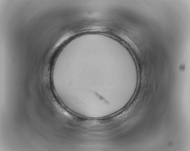 X0000093611450200711121201