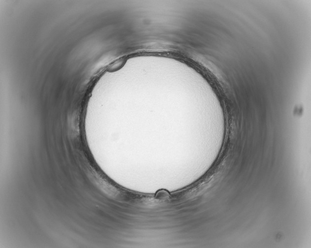 X0000093611451200711121201