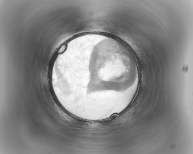 X0000093611452200711121201