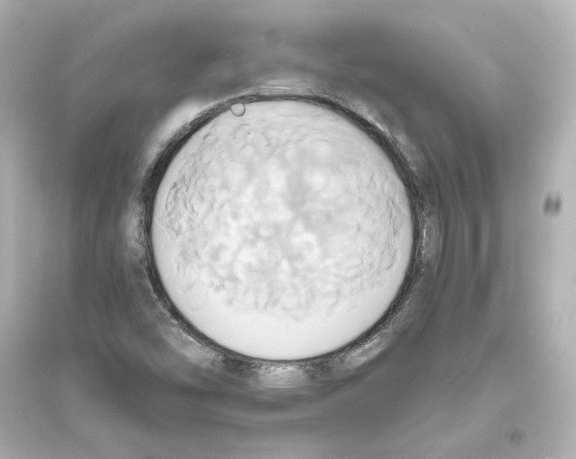X0000093611454200711121201