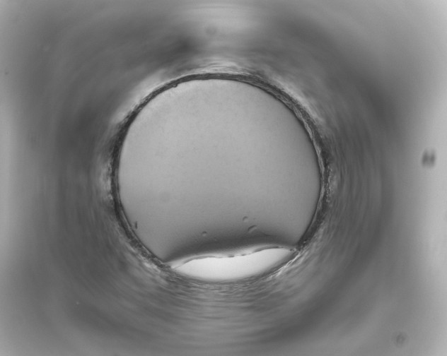 X0000093611455200711121201