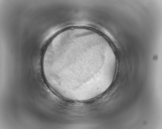 X0000093611456200711121201
