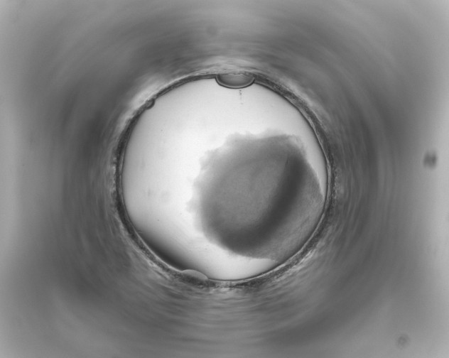 X0000093611459200711121201