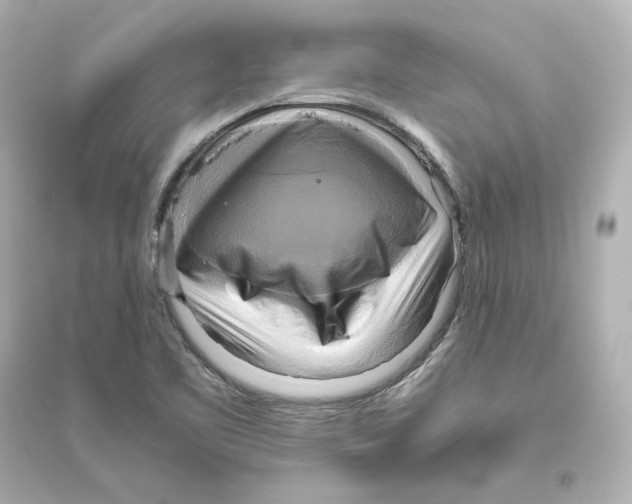 X0000093611461200711121201