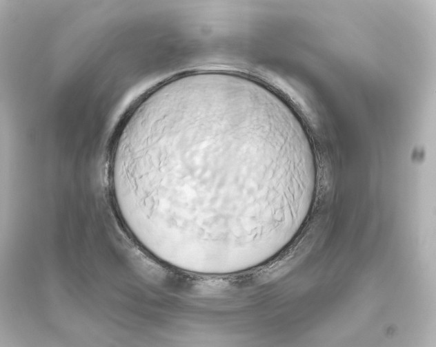 X0000093611462200711121201