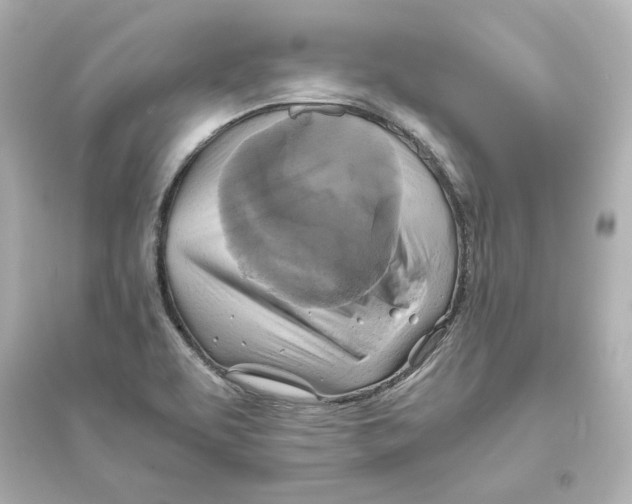 X0000093611463200711121201